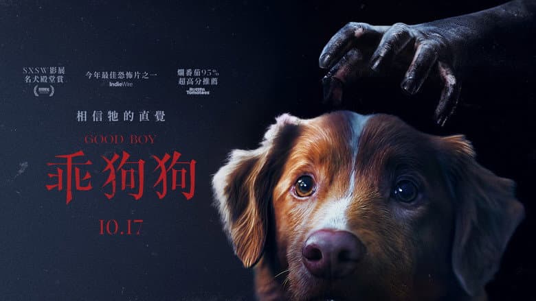 Good Boy - imagine 3