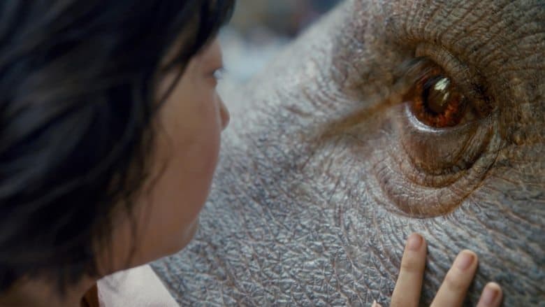 Okja - imagine 2