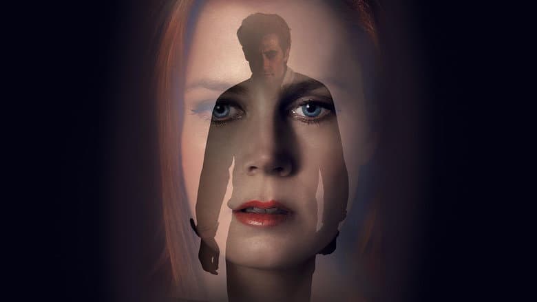 Nocturnal Animals - imagine 2