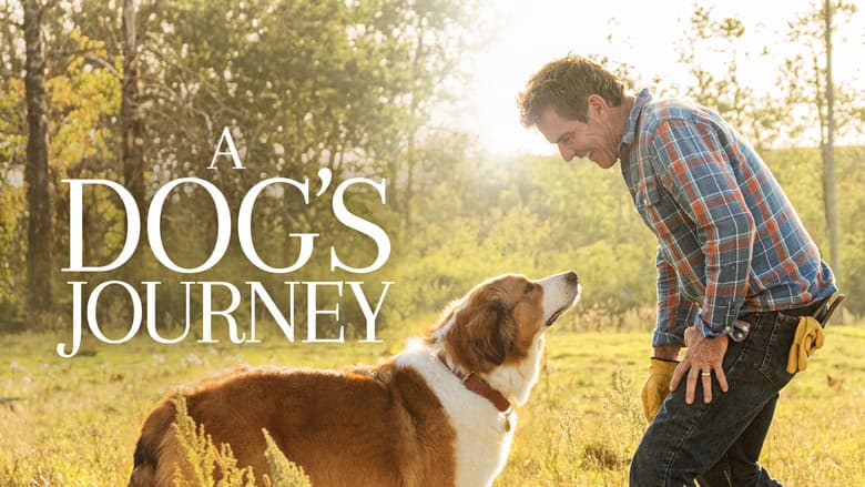 A Dog's Journey - imagine 6