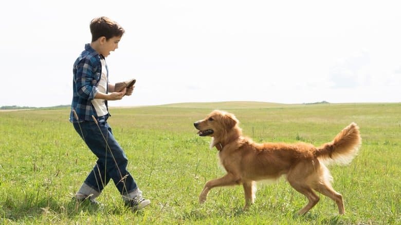 A Dog's Purpose - imagine 1