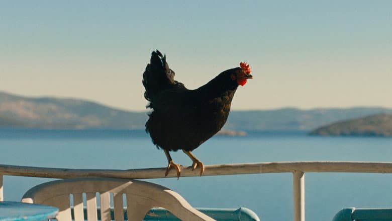 Hen - imagine 3