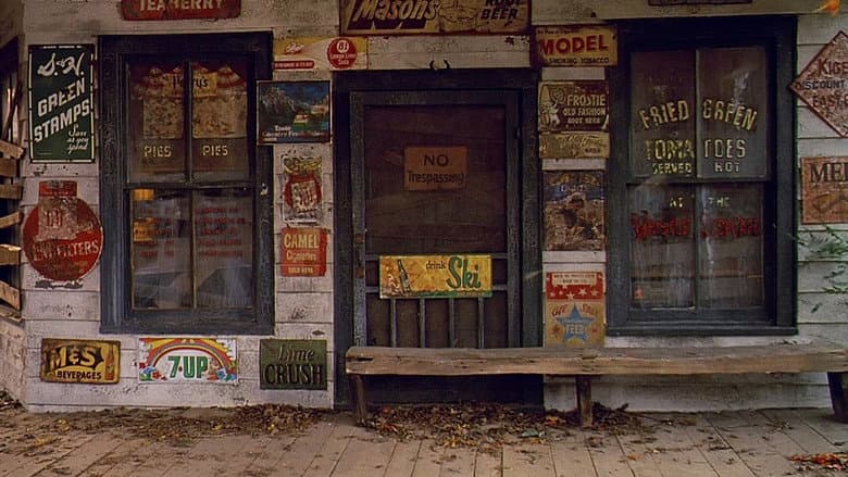 Fried Green Tomatoes - imagine 4