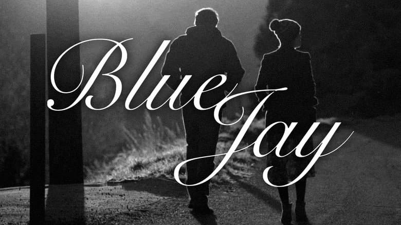 Blue Jay - imagine 4