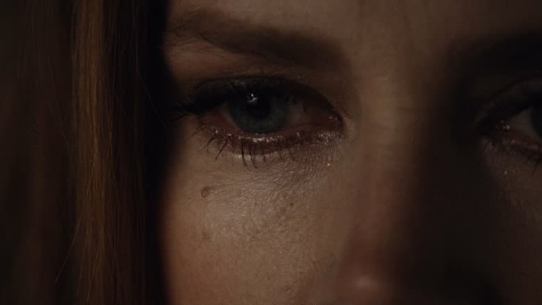 Nocturnal Animals - imagine 3