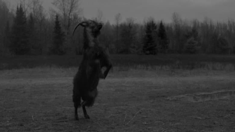 The Witch - imagine 6