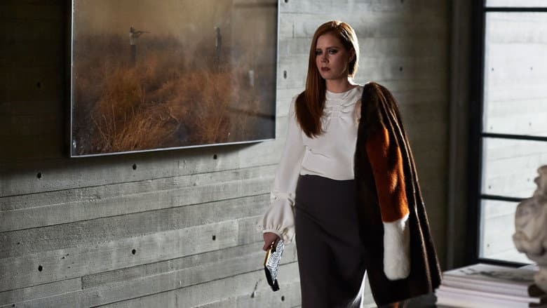 Nocturnal Animals - imagine 4