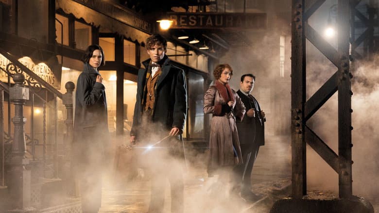 Fantastic Beasts and Where to Find Them - imagine 3