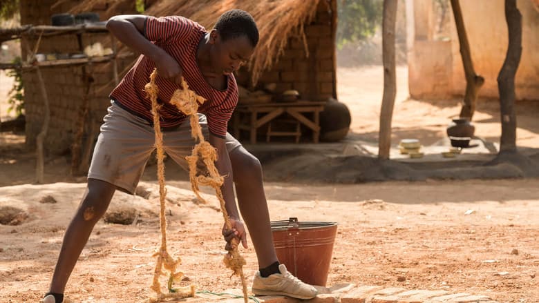The Boy Who Harnessed the Wind - imagine 3