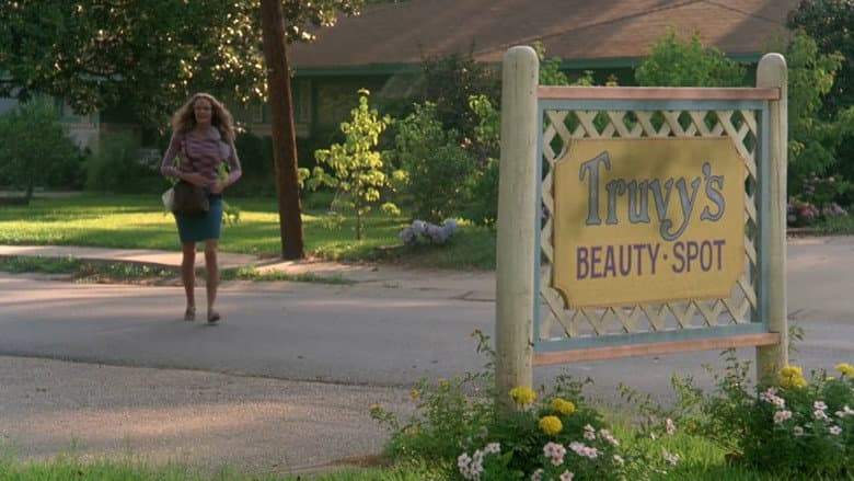 Steel Magnolias - imagine 4