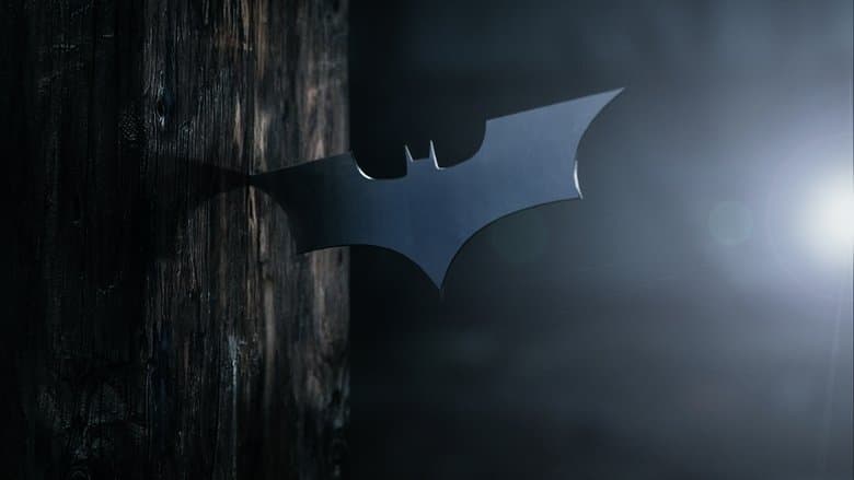 Batman Begins - imagine 4