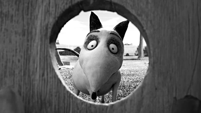 Frankenweenie - imagine 4