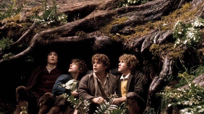 The Lord of the Rings: The Fellowship of the Ring - imagine 5